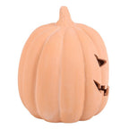 Eleanoras TERRACOTTA PUMPKIN ORNAMENT 22cm 
