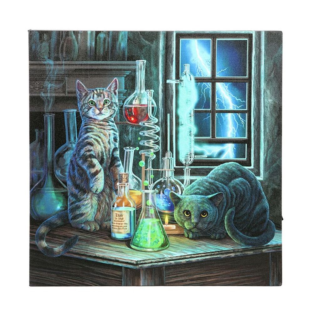 Eleanoras Jekyll & Hyde Light Up Canvas 