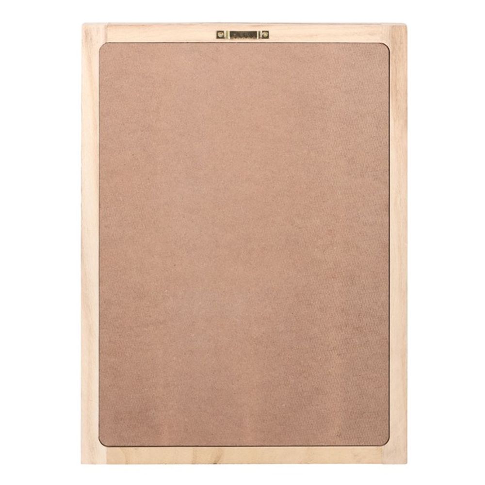 Eleanoras Luna Moth Framed Print Framed Prints