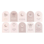 Eleanoras Luna Moth Afformation Cards With Wooden Stand Affirmation Cards