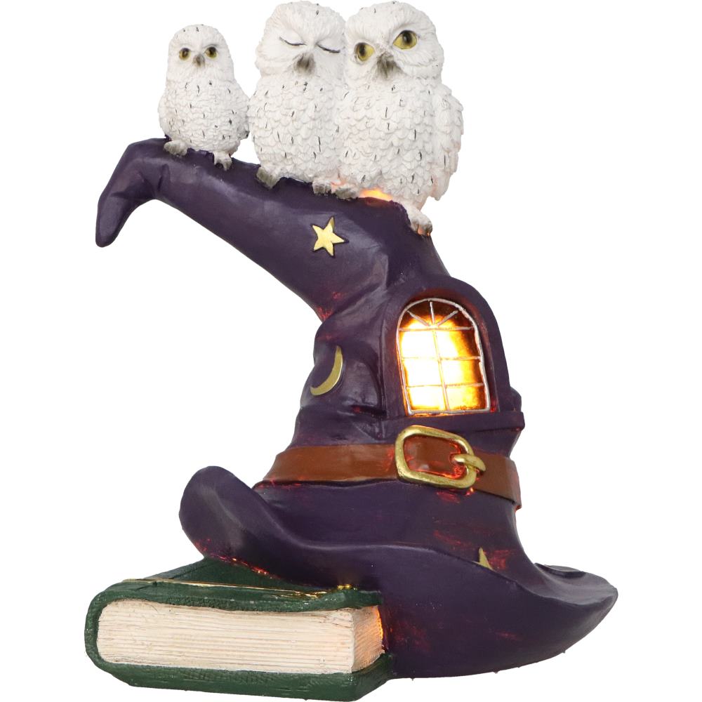 The Witching Perch Owl & Witch Hat LED Ornament