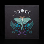 Eleanoras Luna Moth Light Up Canvas Plaque Canvases