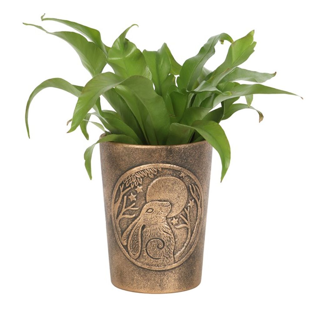 Eleanoras MOON GAZING HARE BRONZE TERRACOTTA PLANT POT Plant Pots