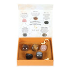 Eleanoras Capricorn Crystal Tumblestone Set 