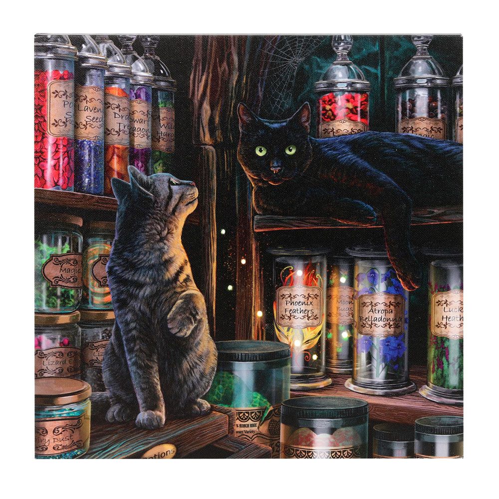 Eleanoras MAGICAL EMPORIUM LIGHT UP CANVAS PLAQUE BY LISA PARKER Canvases