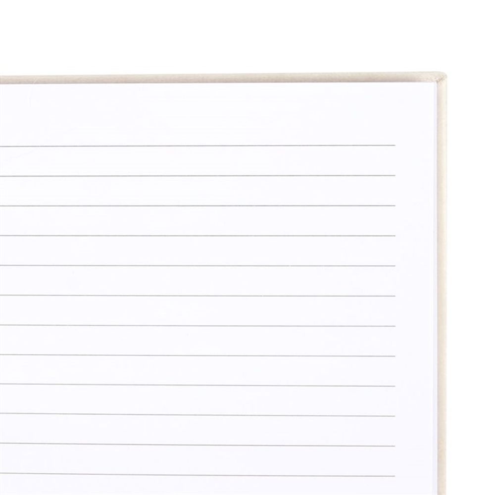 Eleanoras MOON PHASE VELVET NOTEBOOK Notebooks & Journals