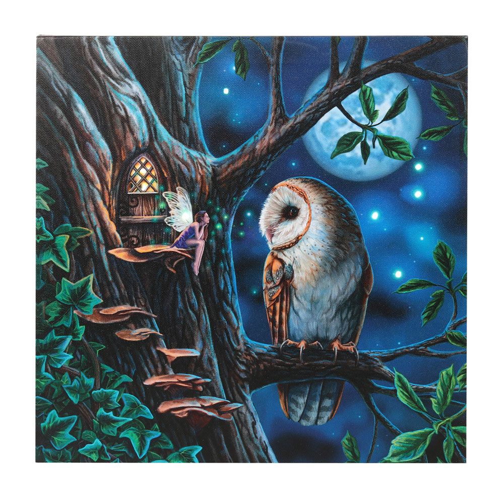 Eleanoras FAIRY TALES LIGHT UP CANVAS PLAQUE BY LISA PARKER Canvases
