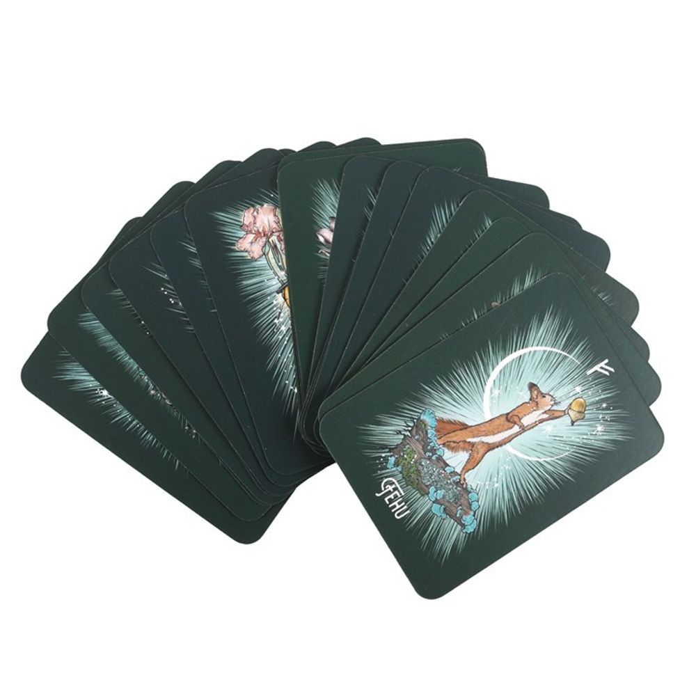 Eleanoras The Witch's Familiar Runic Oracle Cards Oracle Cards