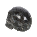 Eleanoras Black Labrodite Crystal Skull Crystals