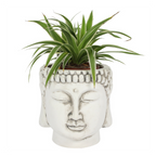 Eleanoras White Terracotta Buddha Head Planter Plant Pots